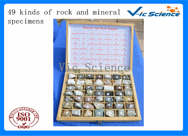 49 kinds of rock and mineral specimens