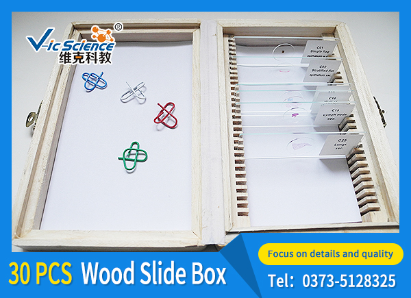 30 pieces of wood slide box
