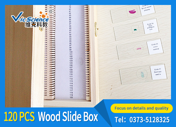 120 pieces of wood slide box