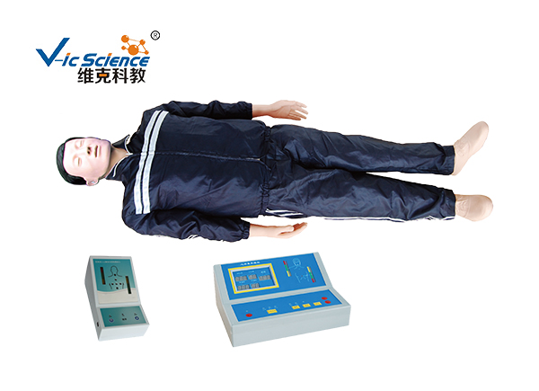 CPR first aid model