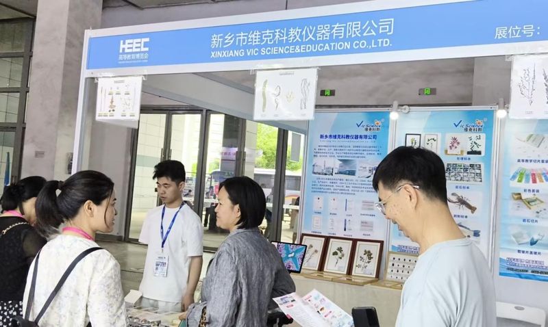 图片12