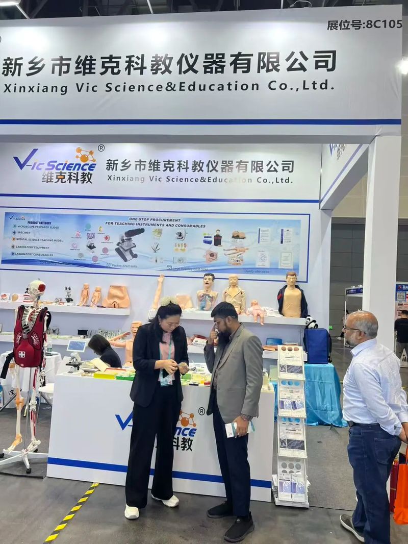 图片6