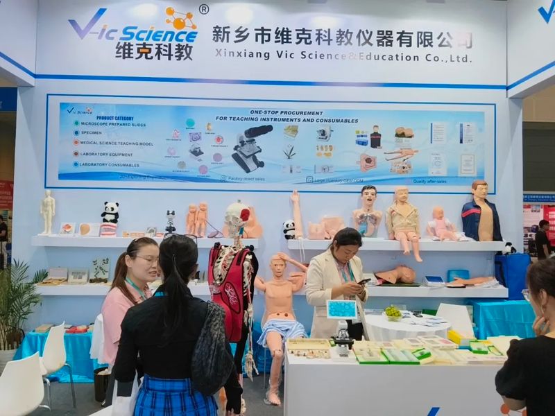 图片7