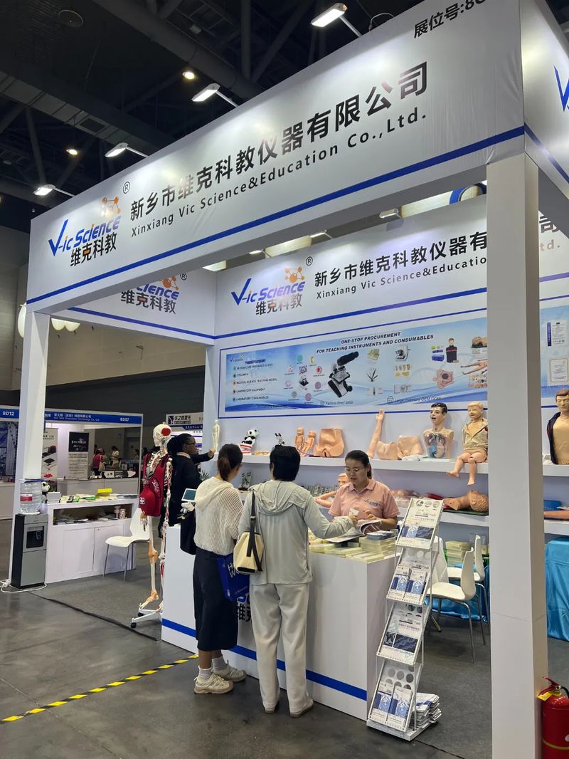 图片13