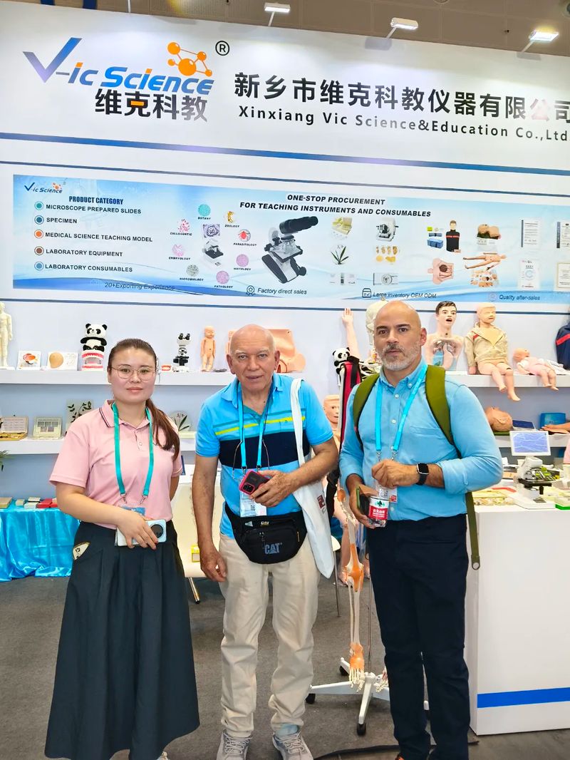 图片15
