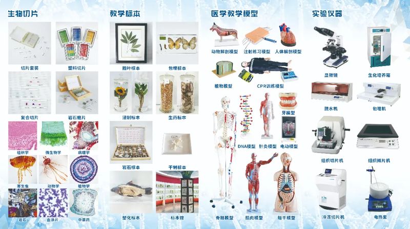 图片19